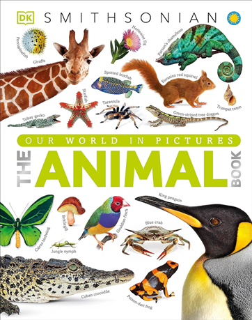 The Animal Book book cover